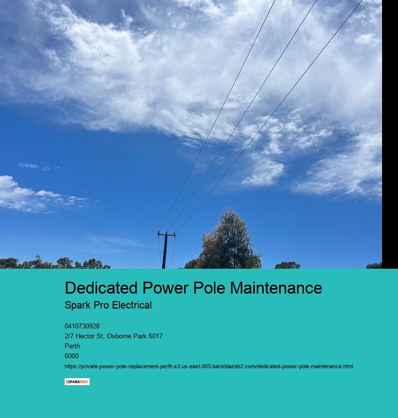 Expert-Led Private Pole Replacement in Perth